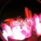 090725_-_Baysic_Sessions_Beach_Party_Sat_25th_Jul_2009_296
