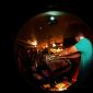 090530_-_Vineyard_Sat_30th_May_2009_042