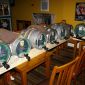 091031_-_Vineyard_Sat_31st_Oct_2009_001