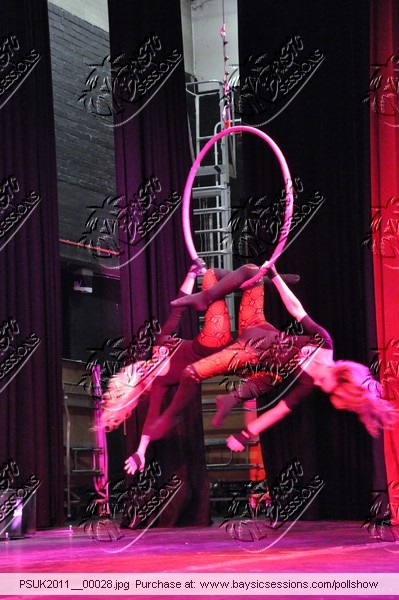PSUK2011__00028