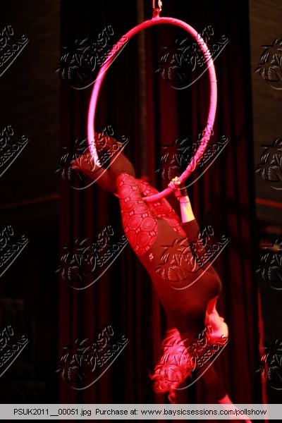 PSUK2011__00051