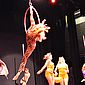 PSUK2011__00153