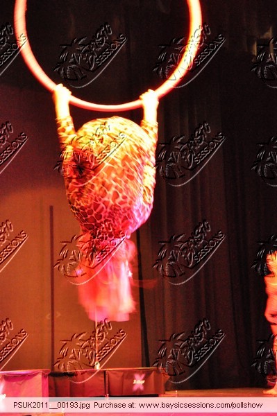 PSUK2011__00193