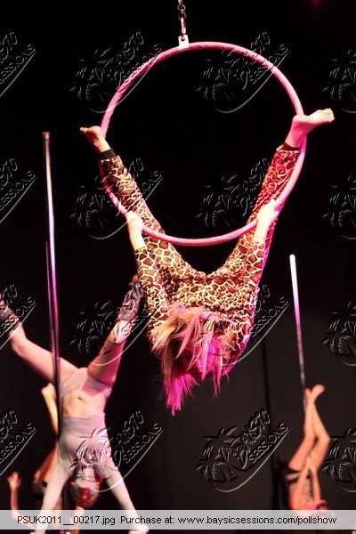 PSUK2011__00217