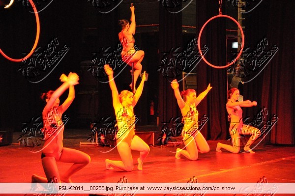 PSUK2011__00256