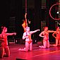 PSUK2011__00257