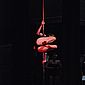PSUK2011__00330