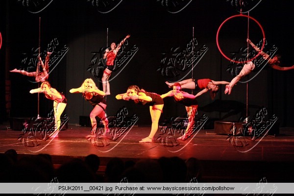 PSUK2011__00421
