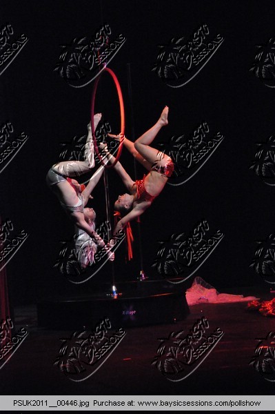 PSUK2011__00446