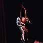 PSUK2011__00448
