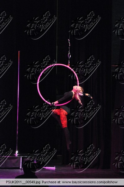 PSUK2011__00549