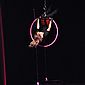 PSUK2011__00553