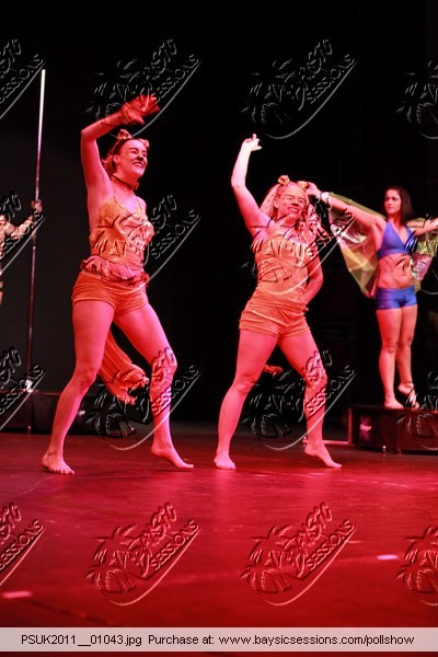 PSUK2011__01043