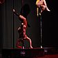 PSUK2011__01072
