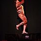 PSUK2011__01079