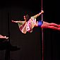 PSUK2011__01118