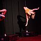 PSUK2011__01127