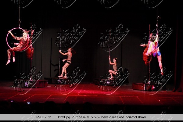 PSUK2011__01129