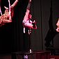 PSUK2011__01135